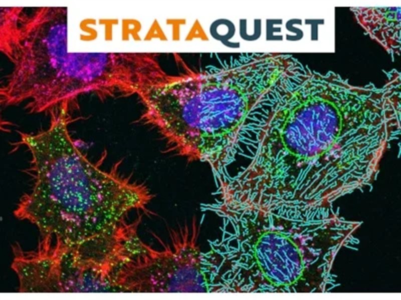 StrataQuest PLUS (TG-影像分析)